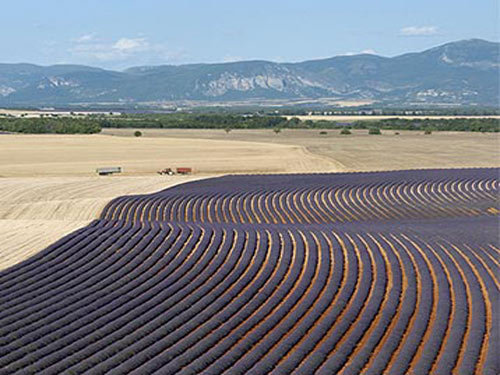 architecte valensole