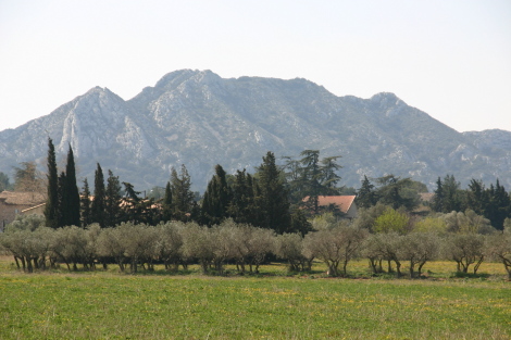 architecte alpilles